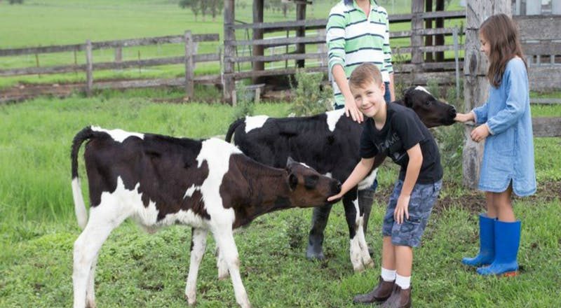 farm visit