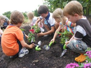 gardening