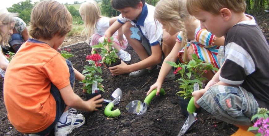 gardening