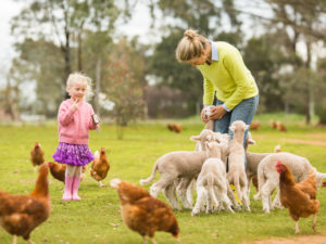 mobile farm